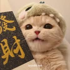 Avatar do jogador Rafael